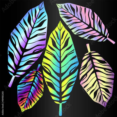 Collection of bright neon exotic leaves. Beautiful tropical plants - contour ...