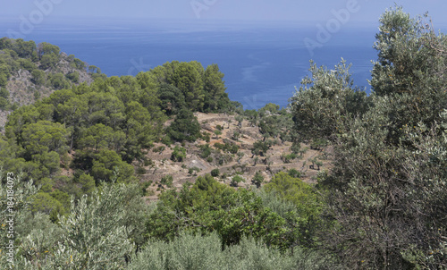 Trees, terraces and sea in Mallorca