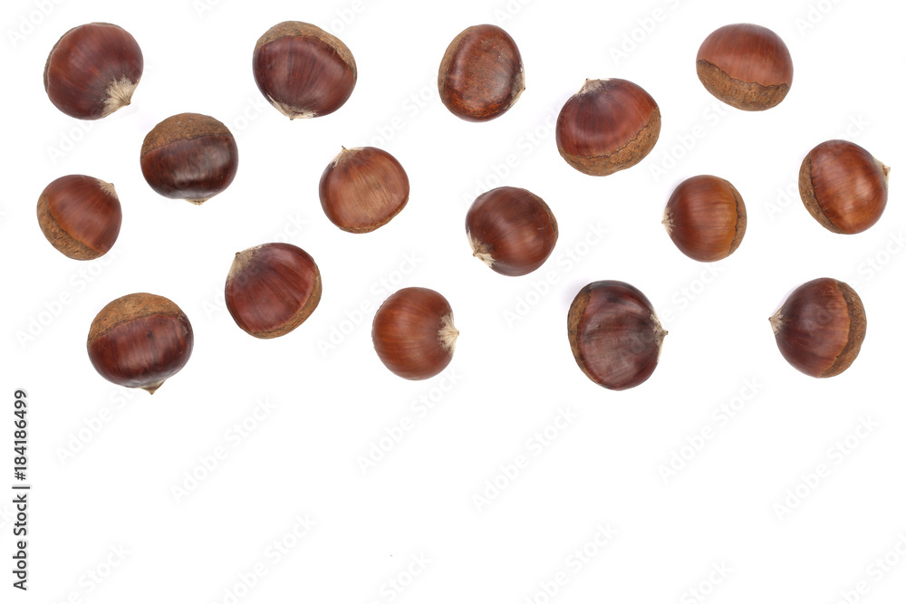 chestnut isolated on white background with copy space for your text. Top view. Flat lay chestnut isolated on white background with copy space for your text. Top view. Flat lay