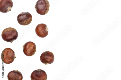 chestnut isolated on white background with copy space for your text. Top view. Flat lay