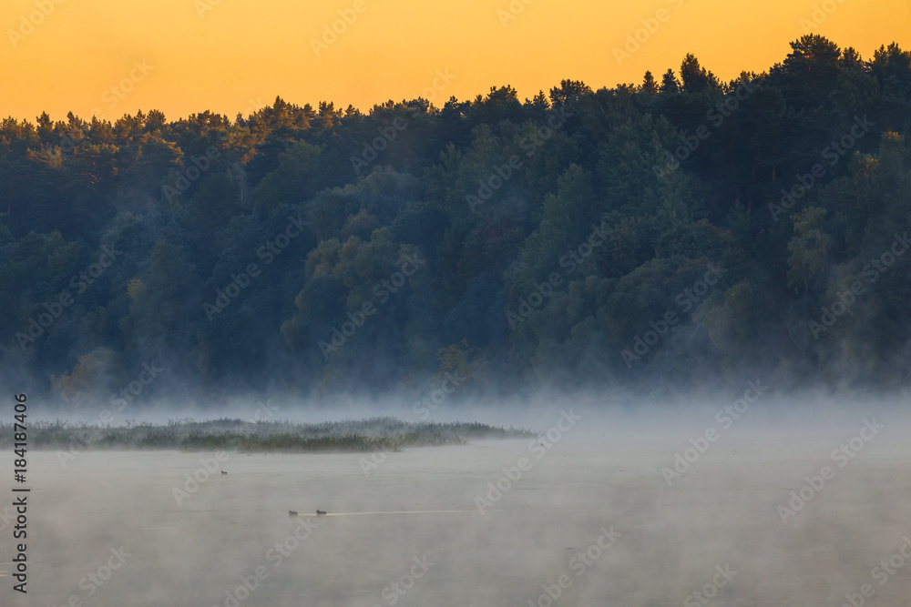 Morning foggy landscape image of Nemunas river