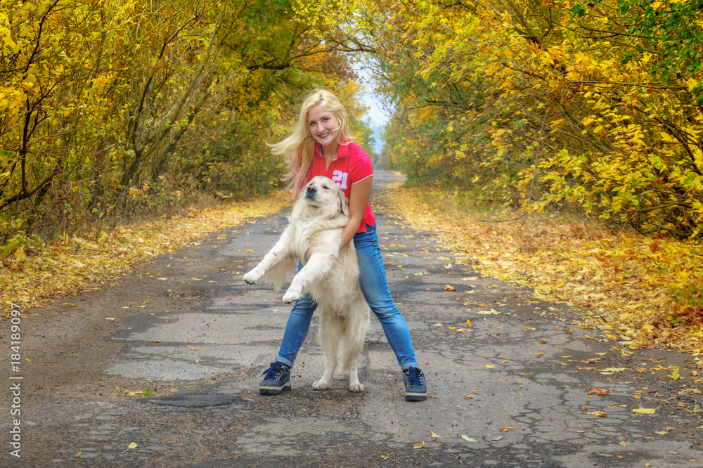 Fototapeta premium Young girl playing with dog golden retriver on the road in yellow forest. friendship with pets