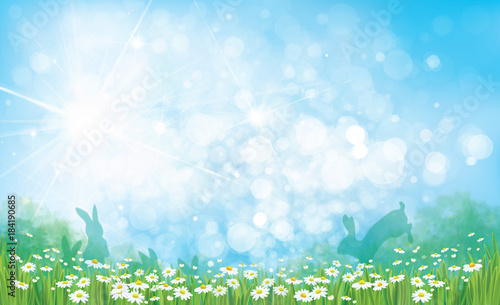 Vector summer nature  background, chamomiles field, rabbits and  blue sky.