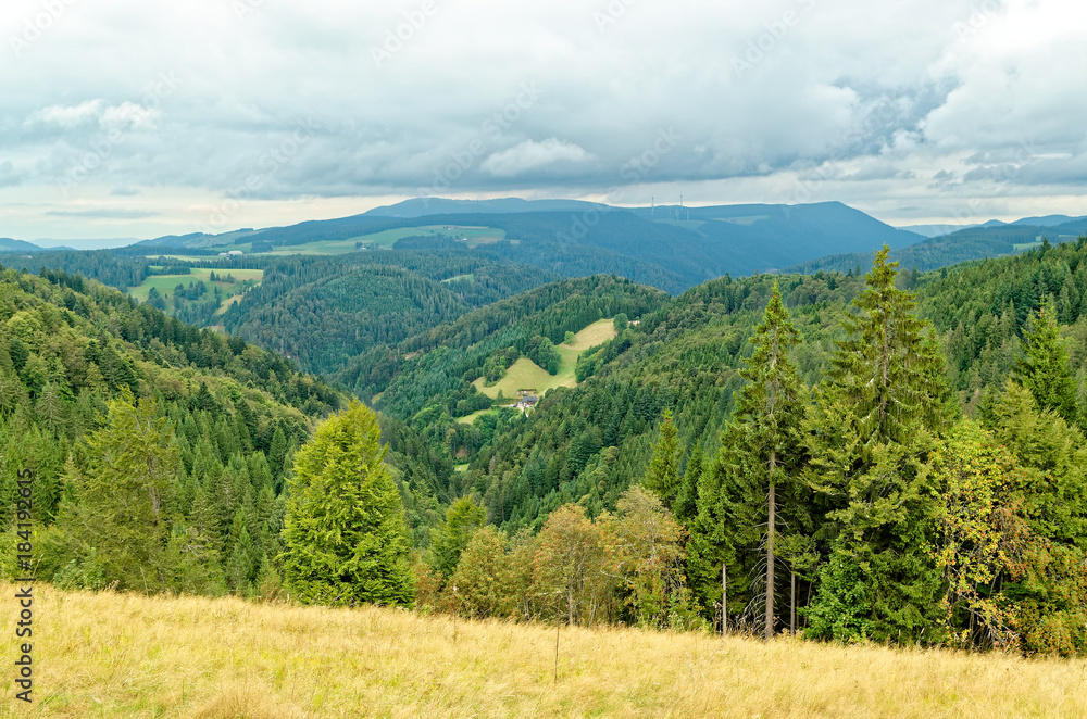Scenic view of a picturesque landscape with mountain forests. Black Forest region, Germany