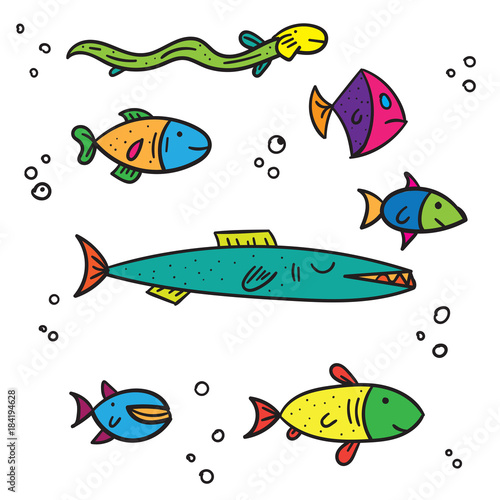 Exotic sea and river multi colored fish different size on white background