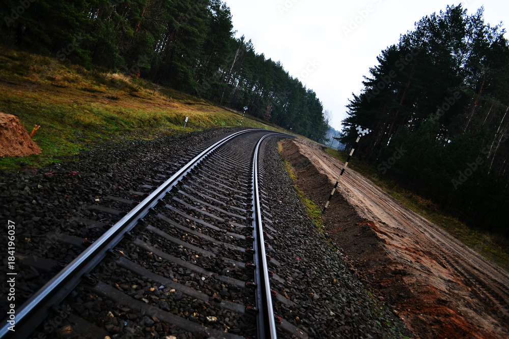 Fototapeta premium Railway to infinity in the woods