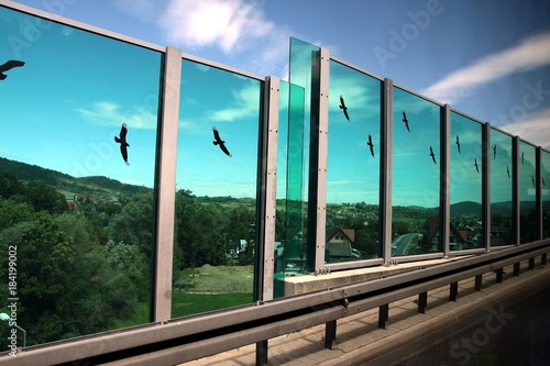 transparent walls with birds on speed way