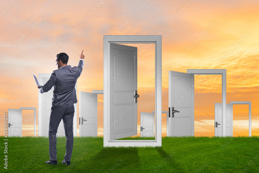 Fototapeta premium Businessman facing many business opportunities