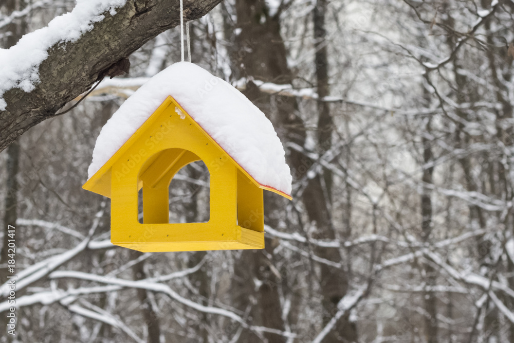 Yellow bird feeder