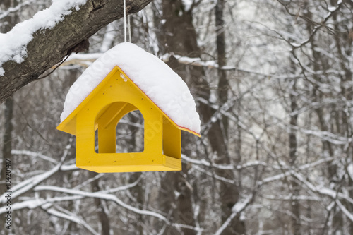 Yellow bird feeder © roundex