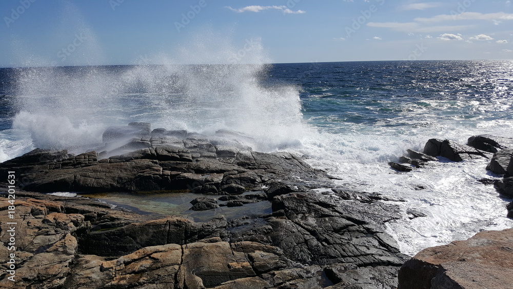 Ocean Spray Ocean Spray