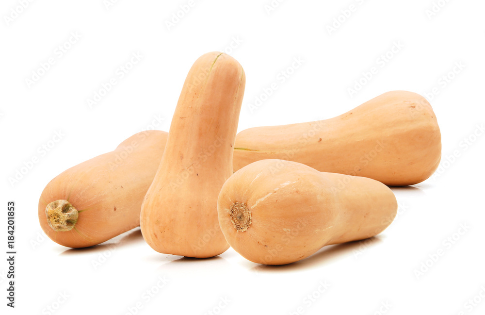 Butternut squash isolated on white background Butternut squash isolated on white background