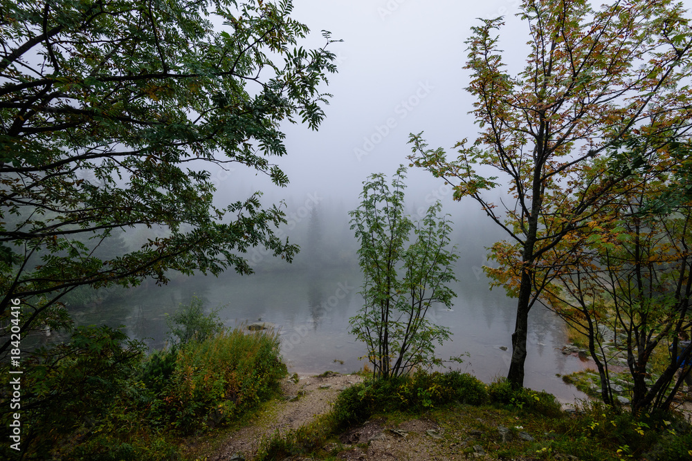 reflections of trees in the lake water in the morning mist reflections of trees in the lake water in the morning mist