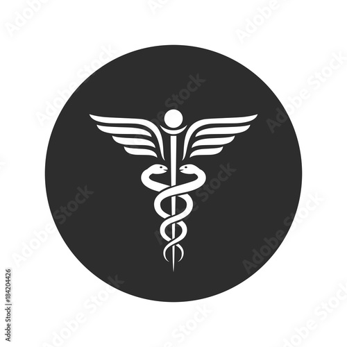 Winged snakes ancient medical vector symbol
