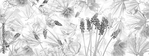 spring flowers and leaves - black and white texture