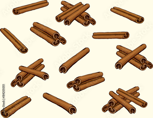 Cinnamon. Vector drawing