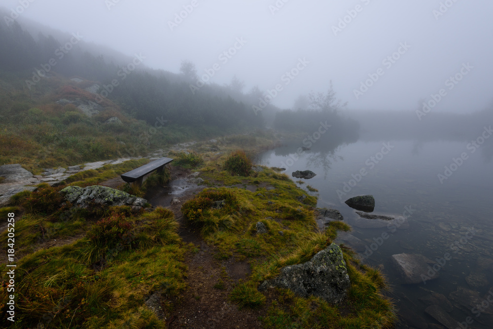 reflections of trees in the lake water in the morning mist reflections of trees in the lake water in the morning mist