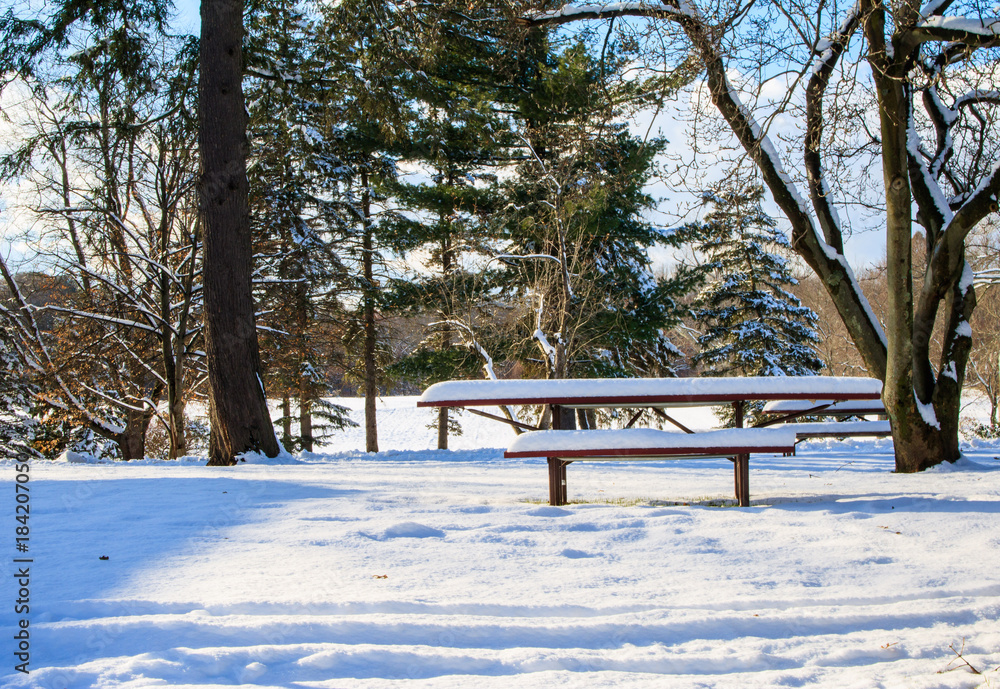 Snow-covered picnic table