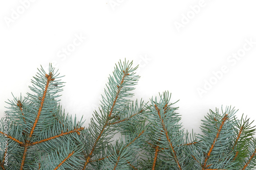 Christmas tree branches border over white