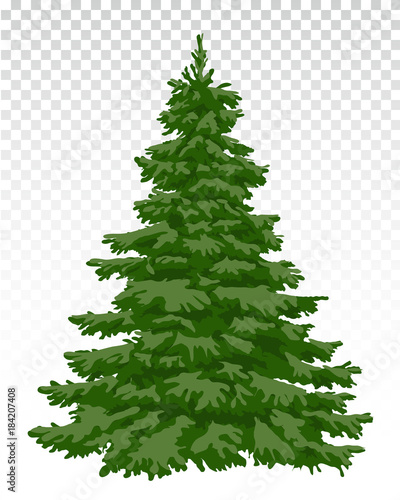 beautiful Christmas tree. Christmas. Winter. Nature in details. Drawing. Vector. Eps 10.