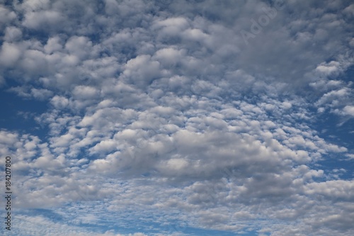 Fototapeta Naklejka Na Ścianę i Meble -  Cumuli clouds in Australia