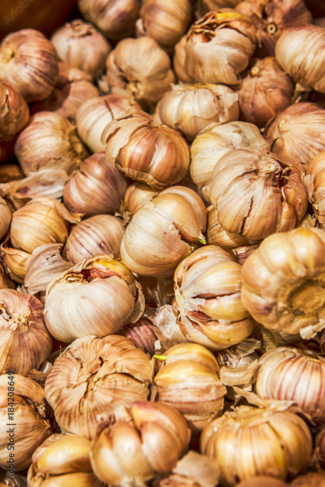 Garlic at the Market