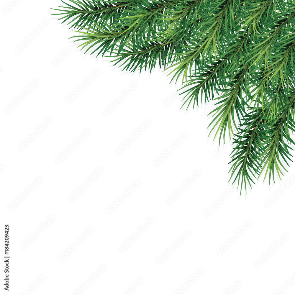 fir-tree branches- festive design. Close-up. Isolated. Christmas. New Year. Vector Illustration .Eps 10. fir-tree branches- festive design. Close-up. Isolated. Christmas. New Year. Vector Illustration .Eps 10.