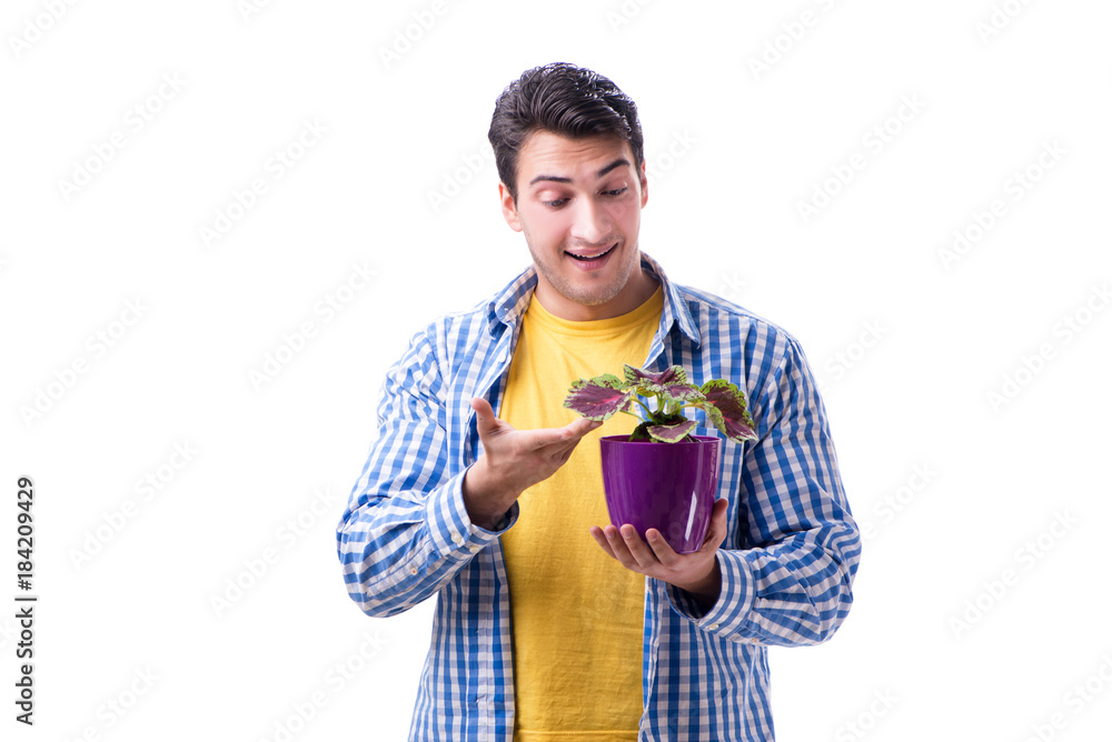 Young man with flower pot isolated on white Young man with flower pot isolated on white