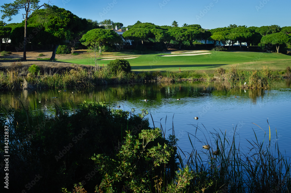 Sunny day and golf field natural scenic outdoors, bright sky background. Sunshine fitness leisure lifestyle space