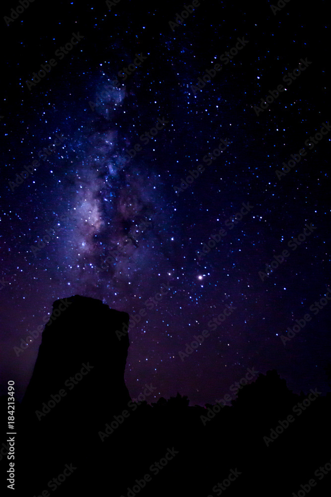 Fototapeta premium The Milky Way and some trees. In the mountains.