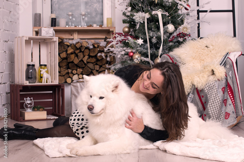 beautiful young girl hugging her white dog near the New Year tree. New Year Christmas. year of the dog. Samoyed and his friend photo