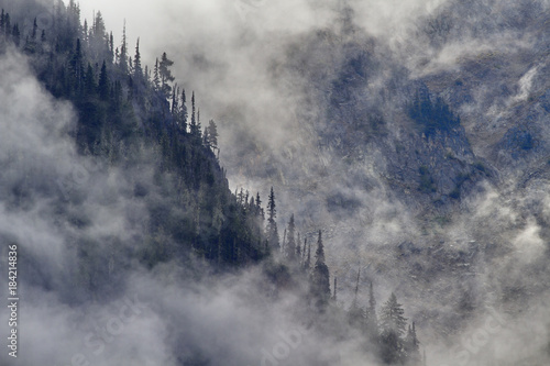 Misty fog on trees and mountains in British Columbia