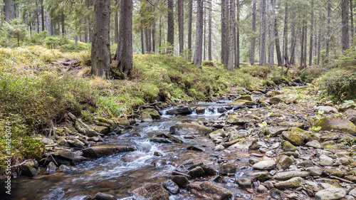 A view of a mountain stream that flows down a slope of stones