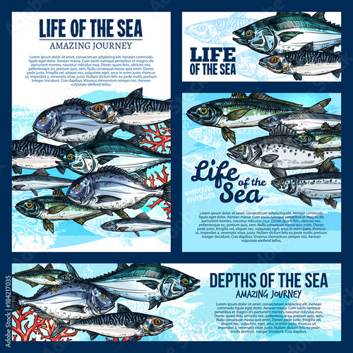 Sea life banner with fish and ocean animal sketch