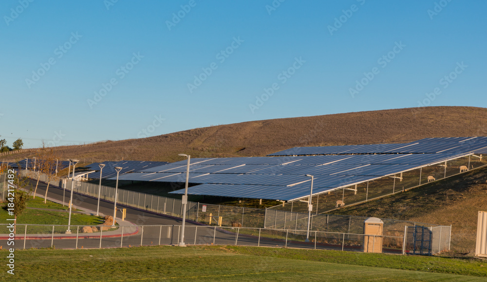 Solar panels on a hillside 