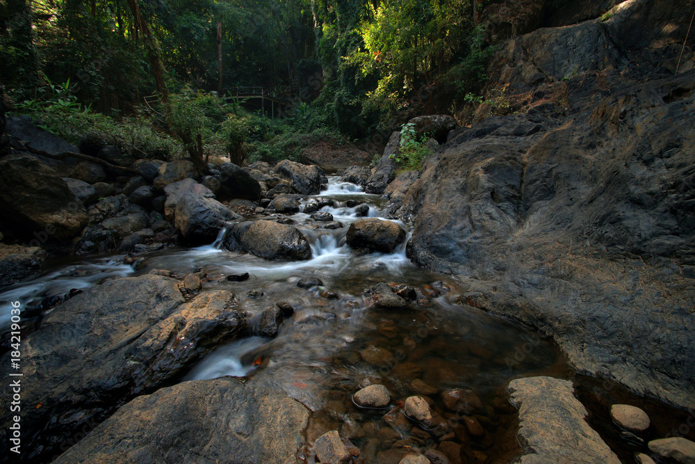 beautiful brook in green forest beautiful brook in green forest