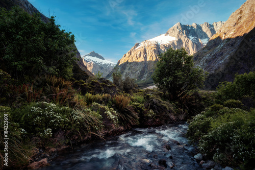 Road to Milford Sound New Zealand © Lukas