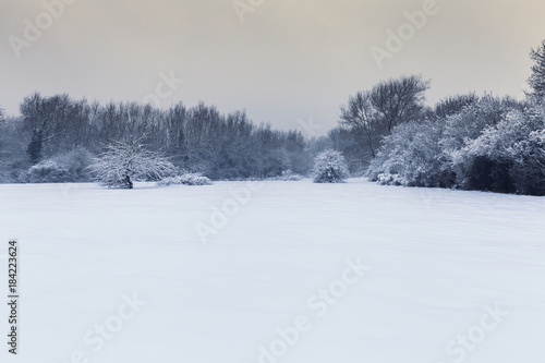 Snow Covered Trees and Fields of British Countryside © Eddie Cloud