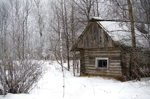 an abandoned house in the winter forest © tntk