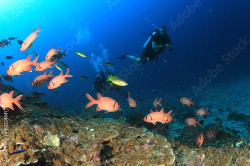 Fototapeta Naklejka Na Ścianę i Meble -  Scuba dive coral reef underwater