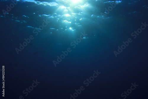 Underwater  © Richard Carey
