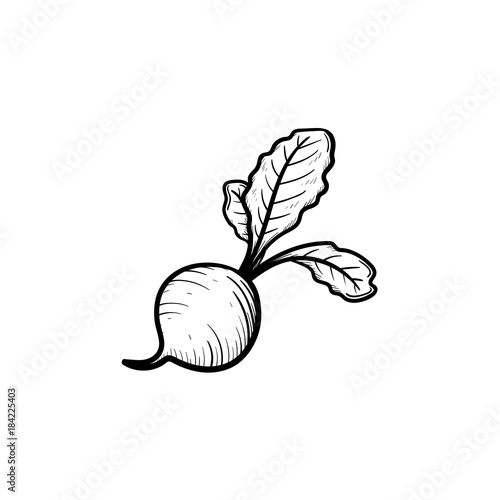 Vector hand drawn beet outline doodle icon. Food sketch illustration for print, web, mobile and infographics isolated on white background.