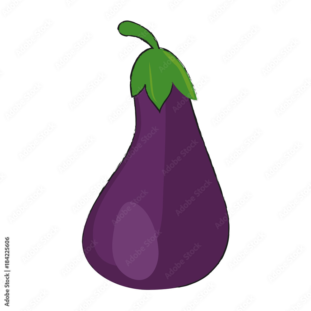 Fresh eggplant ,vegetable