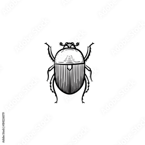 Vector hand drawn colorado potato beetle outline doodle icon