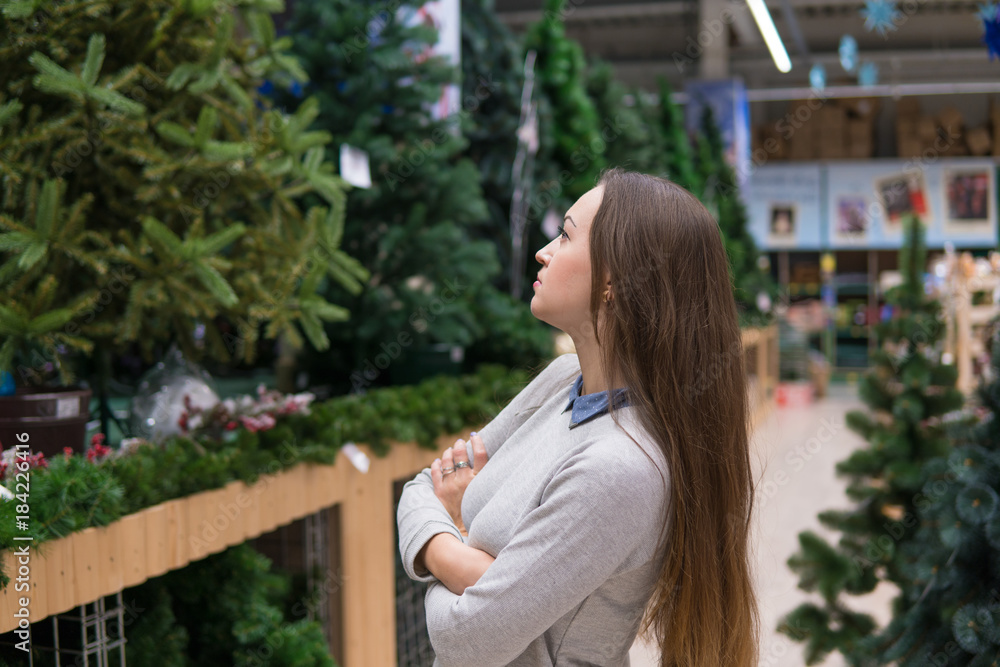customer girl choosing Christmas tree for the new year on Christmas Eve. difficult decision. Various choice customer girl choosing Christmas tree for the new year on Christmas Eve. difficult decision. Various choice