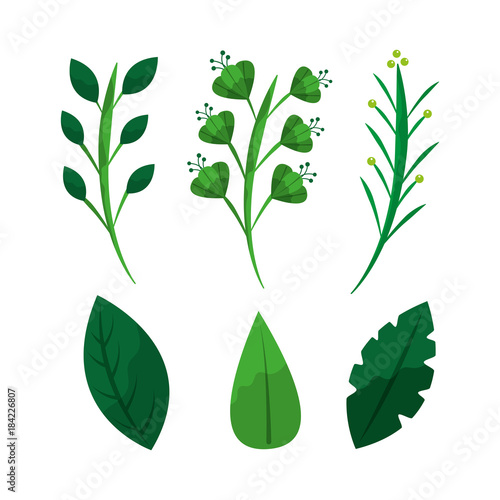 set of green weed leaves branch botanical vector illustration