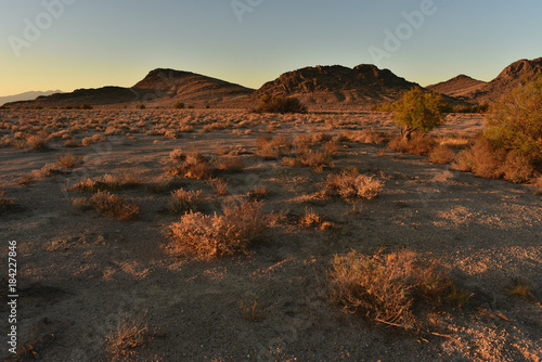 Mojave desert dawn landscape Pahrump Nevada photo