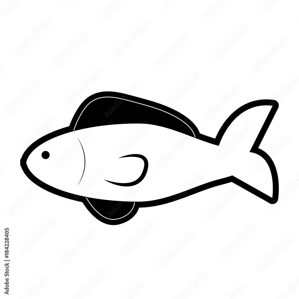 Obraz premium fish vector illustration