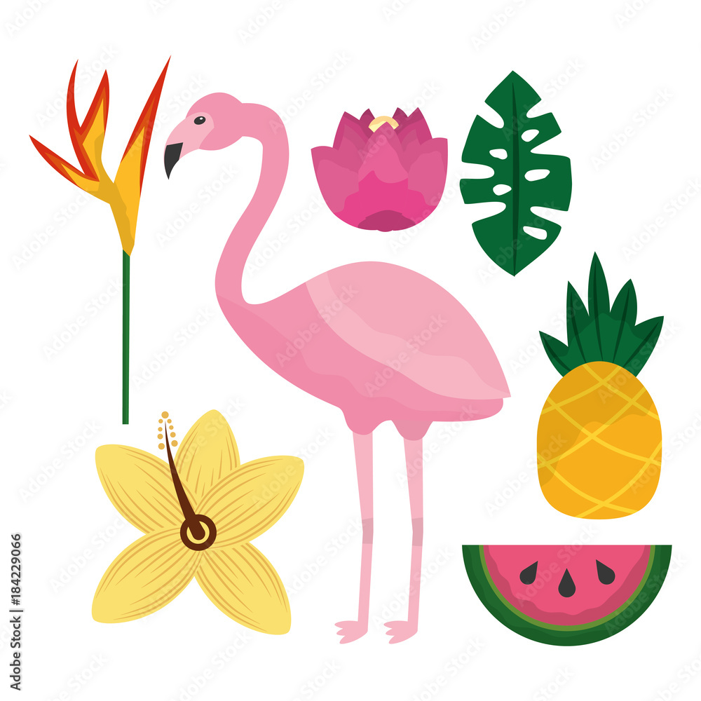 tropical flamengo hibiscus pineapple watermelon bird of paradise leaves vector illustration tropical flamengo hibiscus pineapple watermelon bird of paradise leaves vector illustration