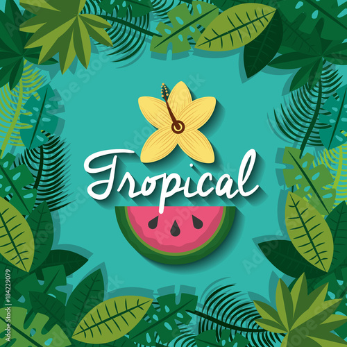 tropical fruit and flower with leaves foliage natural vector illustration